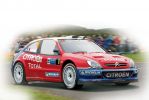AUTO - WRC 2005 - DEUTSCHLAND RALLY - TRIER 28/08/2005 - PHOTO : JEAN MICHEL LE MEUR / DPPI